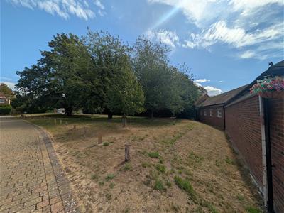 Picture 25